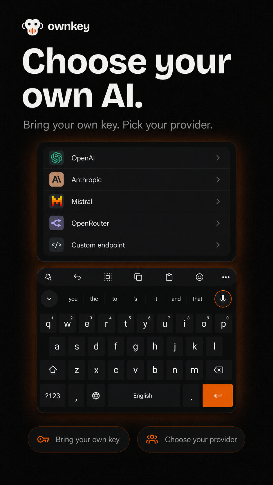 Provider picker: OpenAI, Anthropic, Mistral, OpenRouter, or a custom endpoint